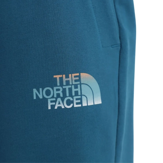Шорты The North Face D2 GRAPHIC SHORT NF0A83FREFS1 фото 2 — интернет-магазин Tapok