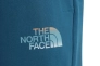 Шорты The North Face D2 GRAPHIC SHORT NF0A83FREFS1 Фото 2