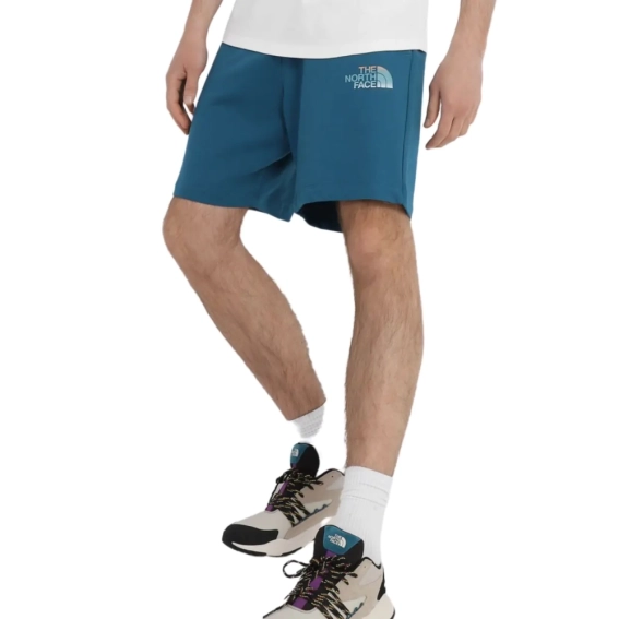 Шорты The North Face D2 GRAPHIC SHORT NF0A83FREFS1 фото 3 — интернет-магазин Tapok