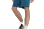 Шорты The North Face D2 GRAPHIC SHORT NF0A83FREFS1 Фото 3