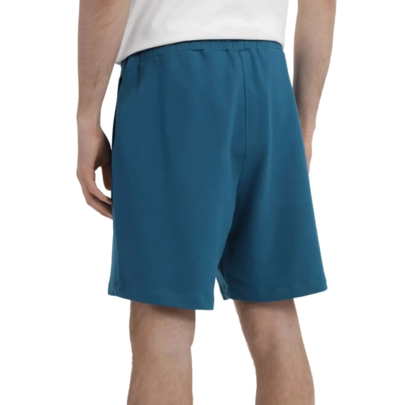 Шорты The North Face D2 GRAPHIC SHORT NF0A83FREFS1 фото 4 — интернет-магазин Tapok