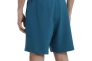 Шорты The North Face D2 GRAPHIC SHORT NF0A83FREFS1 Фото 4