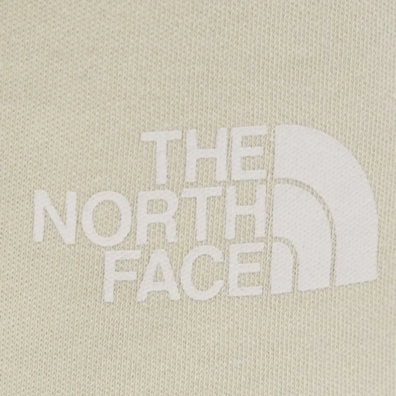 Шорты The North Face GRAPHIC SHORT LIGHT NF0A3S4F3X41 фото 2 — интернет-магазин Tapok
