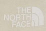 Шорты The North Face GRAPHIC SHORT LIGHT NF0A3S4F3X41 Фото 2
