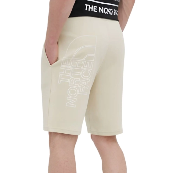 Шорты The North Face GRAPHIC SHORT LIGHT NF0A3S4F3X41 фото 3 — интернет-магазин Tapok