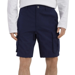 Шорты The North Face M ANTICLINE CARGO NF0A55B68K21