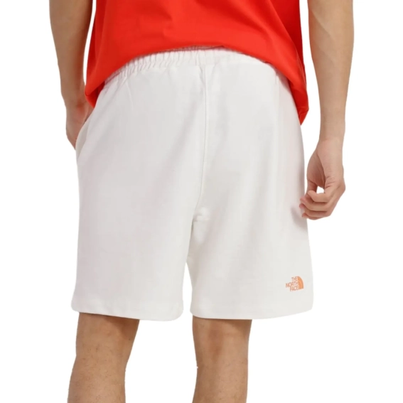 Шорти The North Face M D2 GRAPHIC SHORT NF0A83FRN3N1 фото 2 — інтернет-магазин Tapok