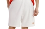 Шорти The North Face M D2 GRAPHIC SHORT NF0A83FRN3N1 Фото 2