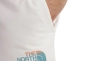 Шорти The North Face M D2 GRAPHIC SHORT NF0A83FRN3N1 Фото 4