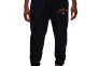 Штани JORDAN M J FLT MVP STMT FLC PANT FB7011-010 Фото 1