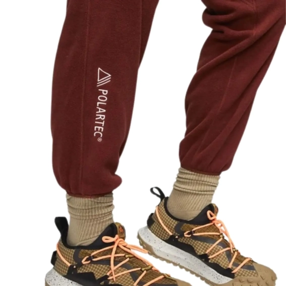 Брюки Nike ACG Wolf Tree Polartec CV0658-217 фото 4 — интернет-магазин Tapok