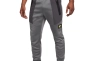 Штани Nike NSW AIR MAX PK JOGGER FV5445-068 Фото 1