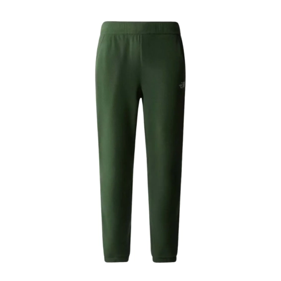 Брюки The North Face GLACIER PANT NF0A8561I0P1 фото 1 — интернет-магазин Tapok