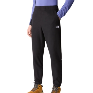 Брюки The North Face M 100 GLACIER PANT NF0A8561JK31