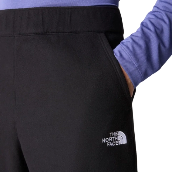 Штани The North Face M 100 GLACIER PANT NF0A8561JK31 фото 3 — інтернет-магазин Tapok
