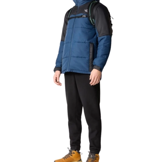 Штани The North Face M 100 GLACIER PANT NF0A8561JK31 фото 4 — інтернет-магазин Tapok