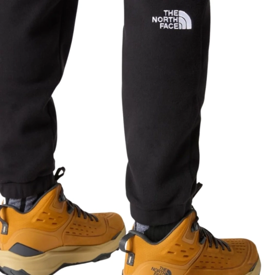 Штани The North Face M 100 GLACIER PANT NF0A8561JK31 фото 5 — інтернет-магазин Tapok