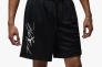 Мужские шорты NIKE M Jordan ESS SSNL SHORT FN4647-010 Фото 1