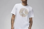 Чоловіча футболка NIKE M Jordan FLT ESS POOL SS CREW FN6006-100 Фото 1