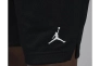Шорты мужские Jordan Dri-Fit Sport Mesh (FN5816-010) Фото 6