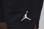 Шорты мужские Jordan Dri-Fit Sport Mesh (FN5816-010) Фото 3