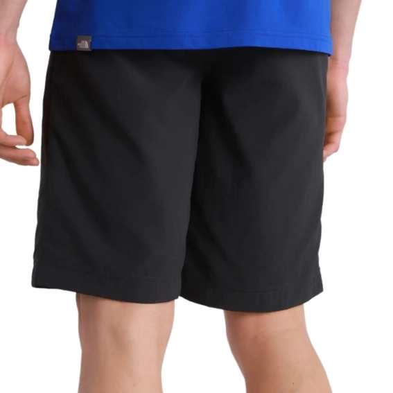 Шорты The North Face Tanken Short Regu NF0A2S850C51 фото 4 — интернет-магазин Tapok