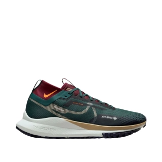 Кросівки NIKE REACT PEGASUS TRAIL 4 GTX DJ7926-302