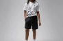 Футболка чоловіча Jordan Brand Ss Hbr Crew (FN6025-100) Фото 5