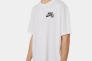 Чоловіча футболка NIKE M NK SB TEE LOGO LBR DC7817-100 Фото 1