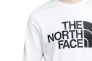 Лонгслив The North Face STANDARD LS TEE NF0A5585FN41 Фото 5