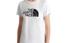 Футболка The North Face Easy Tee NF0A4T1QFN41 Фото 1