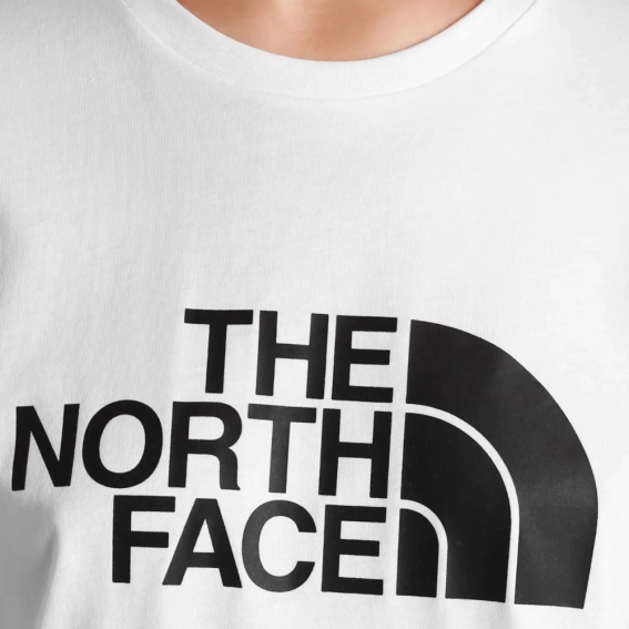 Футболка The North Face Easy Tee NF0A4T1QFN41 фото 3 — інтернет-магазин Tapok