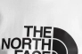 Футболка The North Face Easy Tee NF0A4T1QFN41 Фото 3