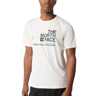 Футболка The North Face FOUNDATION GRAPHIC NF0A55EFQ4C1