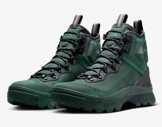 Кроссовки Nike ACG ZOOM GAIADOME GORE-TEX DD2858-300