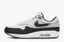 Кросівки Nike AIR MAX 1 FD9082-107 Фото 1