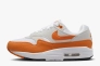 Кроссовки Nike W AIR MAX 1 DZ2628-002 Фото 1