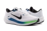 Кросівки Nike AIR WINFLO 10 DV4022-103 Фото 1