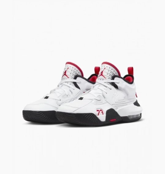 Кроссовки мужские Jordan Stay Loyal 2 (DQ8401-106) DQ8401-106 фото 5 — интернет-магазин Tapok