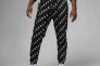 Брюки JORDAN AOP GFX FLC PANT DV7646-010 Фото 1