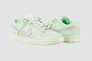 Кросівки жіночі Nike Dunk Low Nn Se (FN6344-001) Фото 6