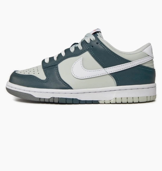 Кросівки Nike D LOW (GS) FB9109-300 фото 1 — інтернет-магазин Tapok