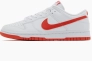 Кросівки Nike DUNK LOW RETRO DV0831-103 Фото 1