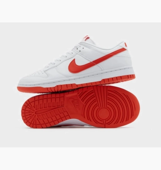 Кросівки Nike DUNK LOW RETRO DV0831-103 фото 3 — інтернет-магазин Tapok