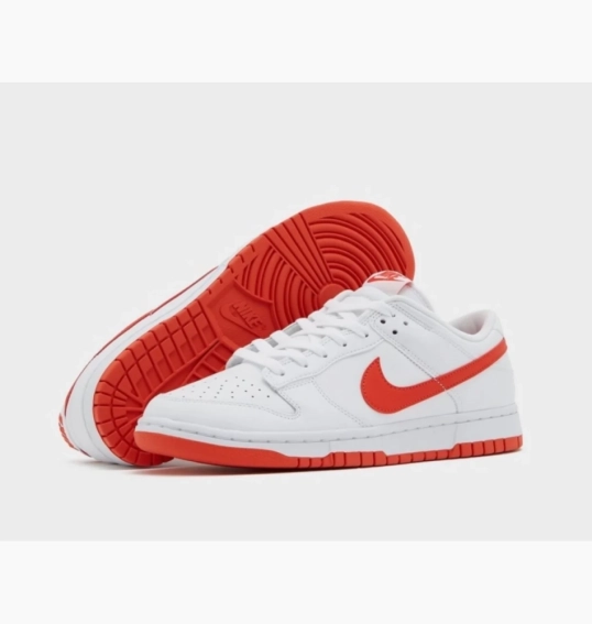Кросівки Nike DUNK LOW RETRO DV0831-103 фото 4 — інтернет-магазин Tapok