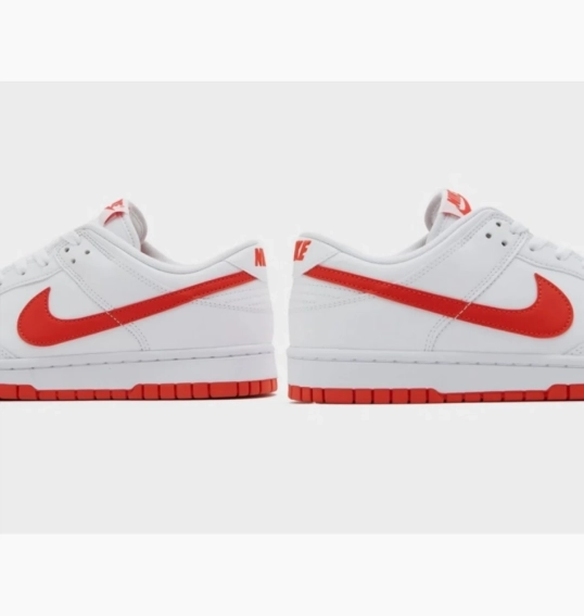 Кросівки Nike DUNK LOW RETRO DV0831-103 фото 5 — інтернет-магазин Tapok