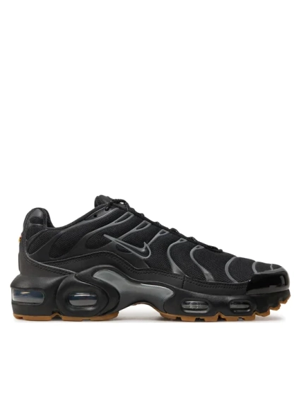 Кроссовки Nike Air Max Plus FV0377-001 фото 1 — интернет-магазин Tapok