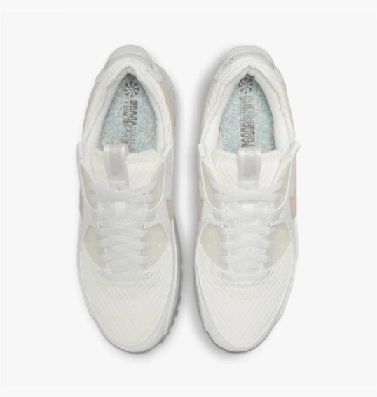 Кросівки NIKE AIR MAX TERRASCAPE 90 DM0033-100 фото 6 — інтернет-магазин Tapok