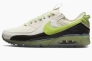 Кросівки NIKE AIR MAX TERRASCAPE 90 DM0033-001 Фото 1