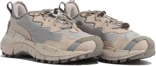 Кросівки REEBOK ZIG KINETICA II EDGE GX8319